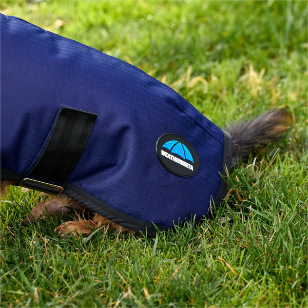 2025 Weatherbeeta Comfitec Classic Waterproof Dog Coat 1029048 - Navy